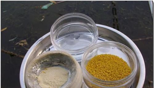 麦芽糖|钓鱼技巧：民间野钓大板鲫绝杀招数，蘸米钓的操作要点！