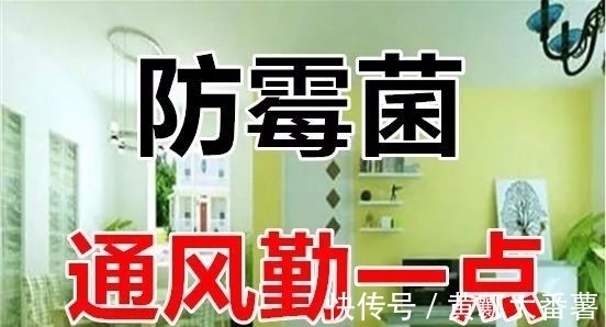 秋老虎|末伏到,学会养生5要点,补五脏、祛湿热,全家健康少生病!