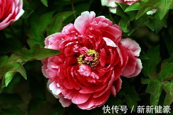 胸怀大志|“财神爷庇护”的7个生辰吉日，好运上门，万事如意，衣食无忧！