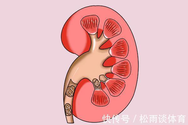 肾脏|长期服用六味地黄丸的男性,最终得到了什么?答案说给你