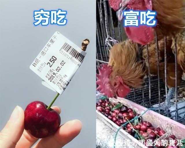 车厘子|有种“差距”叫穷吃VS富吃,蛋糕还好,看到车厘子