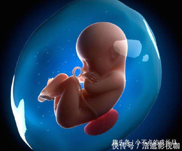 准妈妈|胎宝宝喜欢在这两个时间段内休息,准妈妈尽量不要打扰