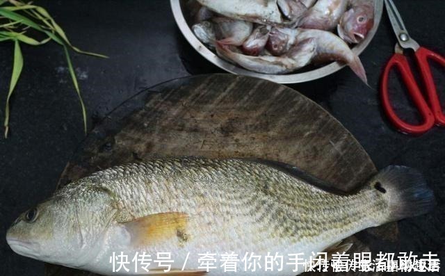 金鲳鱼|5种公认最好吃的海鱼,识货的抢着买,连老板都会给自己留一两条
