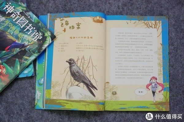 神奇图书馆|一个奶爸的功课，给二年级小男生准备的暑期书单