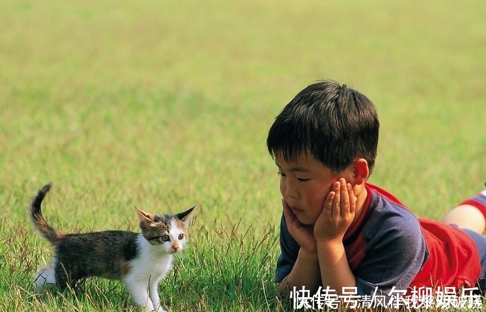 自闭症|孩子的这些怪癖行为，往往是“高智商”的种子，扼杀掉就太可惜了