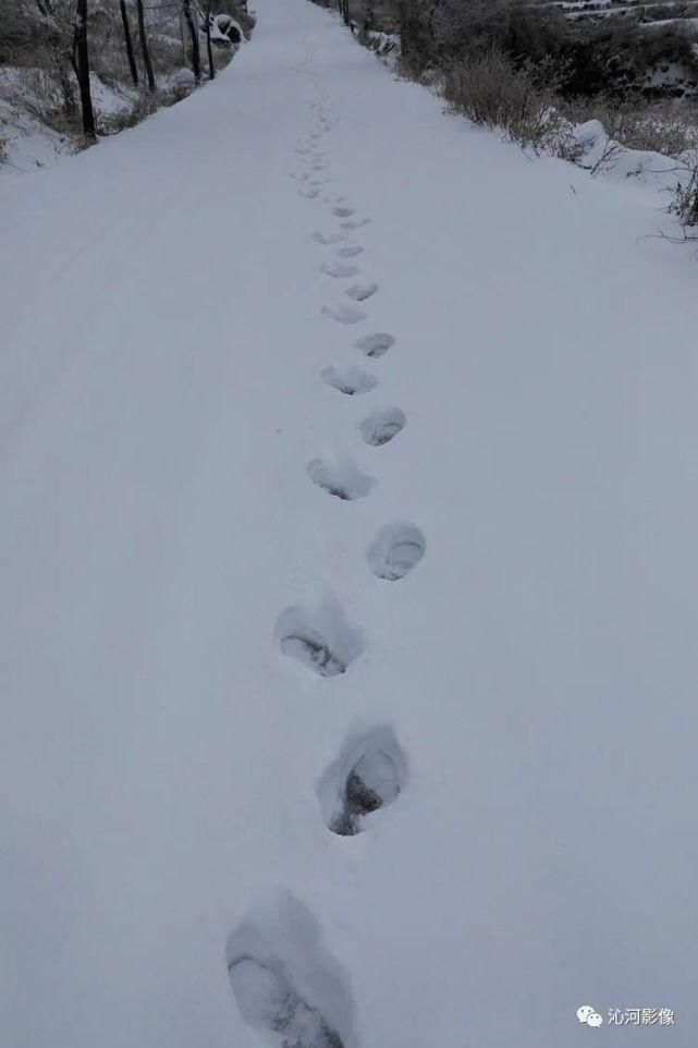 雪后王莽岭，美得不要不要的！