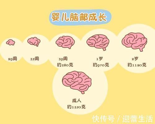 天才|孩子三岁以前,经常受以下几种刺激,智力可能已经赢在了起跑线上