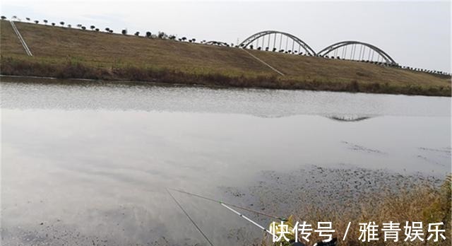 钓鱼|深秋钓鲫鱼,4钓4不钓,只要方法得当,半斤以上大板鲫连竿上