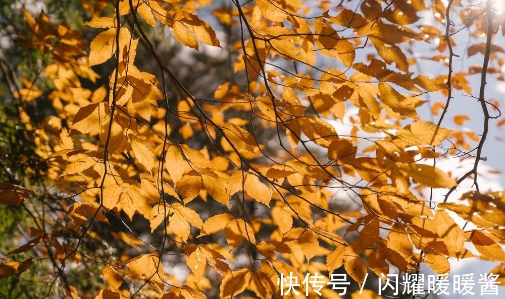 离情&温庭筠这首送别诗,意境壮阔,把离情写出了浩然之气