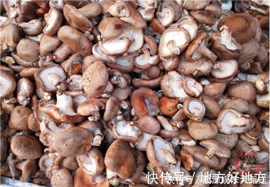 买香菇时，看见这几种建议不要买，菜贩子从来不吃，涨知识了？