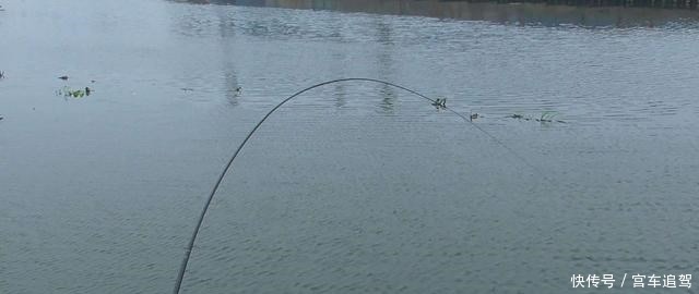 除了鱼获之外,钓到这些奇葩东西,才算真正的钓鱼人