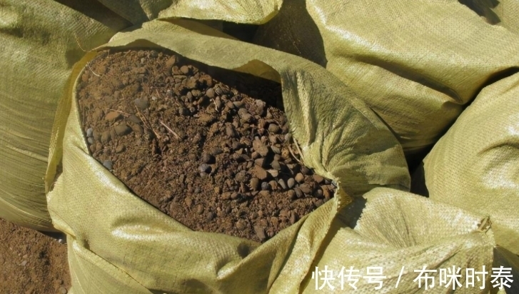 这种粑粑肥拿来养花,养根养叶又催花,关键是怎么用都不烧苗