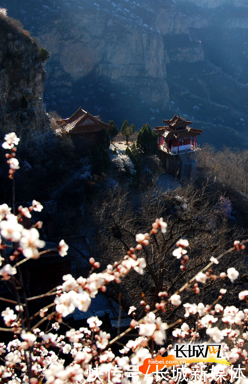 「高清组图」花开燕赵·美丽河北｜花开天桂山