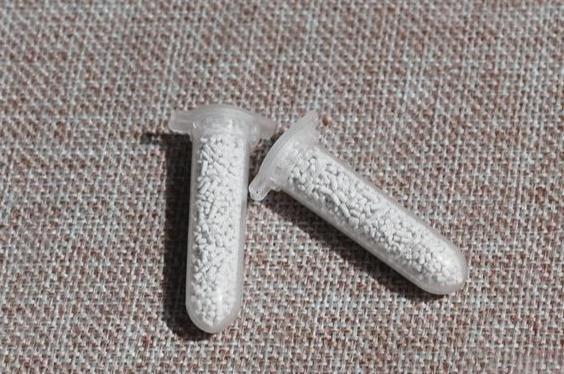 花盆里有蚧壳虫喷一喷,埋点药,蚧壳虫一网打尽