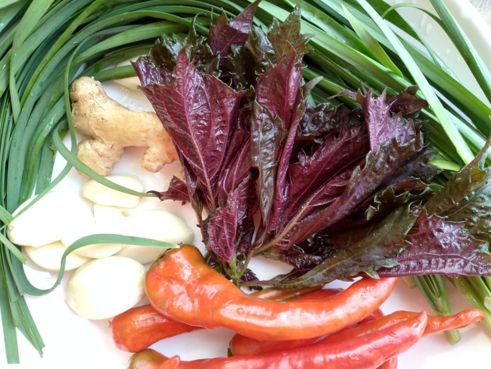 河虾肉嫩香浓，全盘扫光，跟着主厨步骤走，你也能在人前露一手