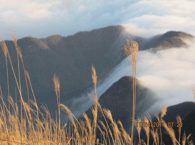 登顶|11.15 登顶搁船尖，看秋色“小武功山”，赏金色高山草甸