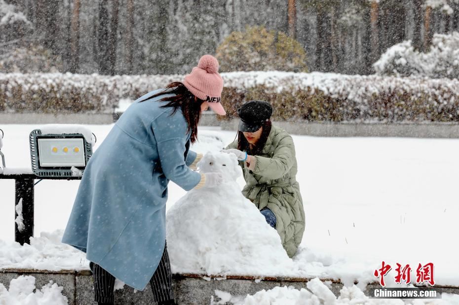  降雪|漠河迎入秋最大降雪 雪深超10厘米