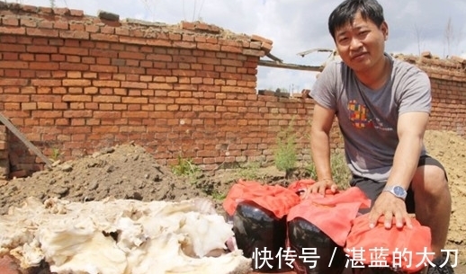 长生不老$全国接连发现的“太岁”,到底是啥?专家:它违背了自然规律