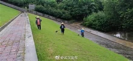 水库|湖北全省超汛限水库降至807座，五大湖泊退出汛限水位