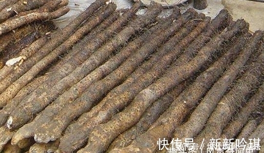 须毛|买山药时，这3种一定不能买，可惜很少人知道，赶快告诉家里人