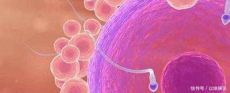 精子在女性体内存活多长时间无论是备孕还是避孕,都要了解清楚