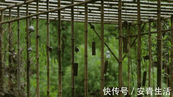 大堰塘|一家四口隐居深山中,三年无经济收入,他们凭什么生存