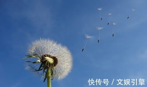 少壮|初读不解诗中意,再读已是诗中人,最怕忽然就读懂了这些诗词