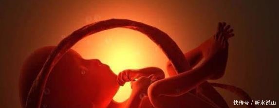 肚子|孕期, 若有这3个“表现”, 恭喜你! 可能是个“高智商”宝宝!