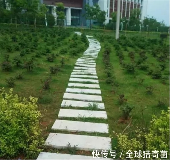 ling|35个匪夷所思的沙雕设计,简直让人哭笑不得