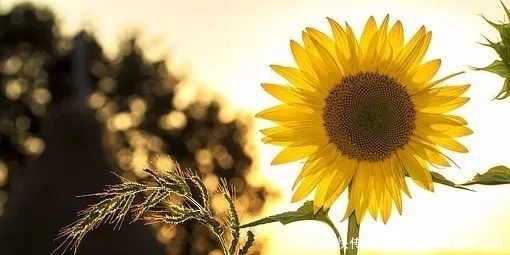 肾脏|很多高血压患者都毁在这3件事上,现在改还来得及!