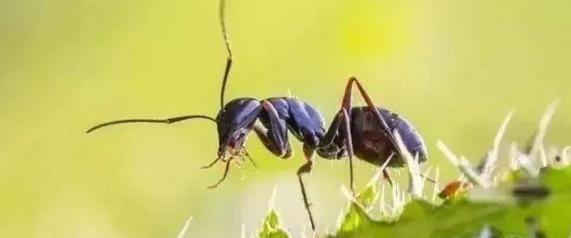 長(zhǎng)壽的人,一般會(huì)有6大共性,占上2條以上,有望成為百歲老人