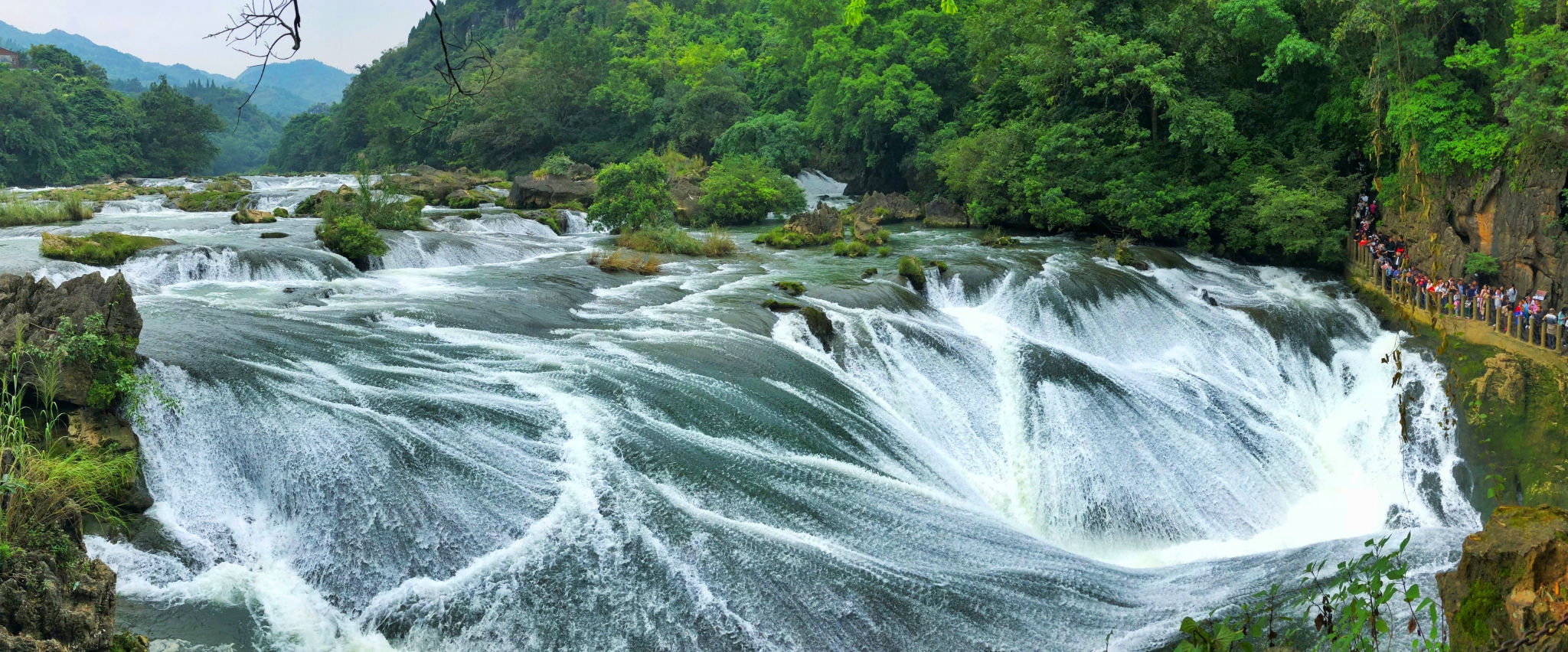 秀美雄伟黄果树