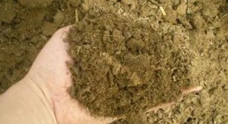 养花土壤板结,三种“玩意儿”丢盆里,土又好又肥,再也不板结了