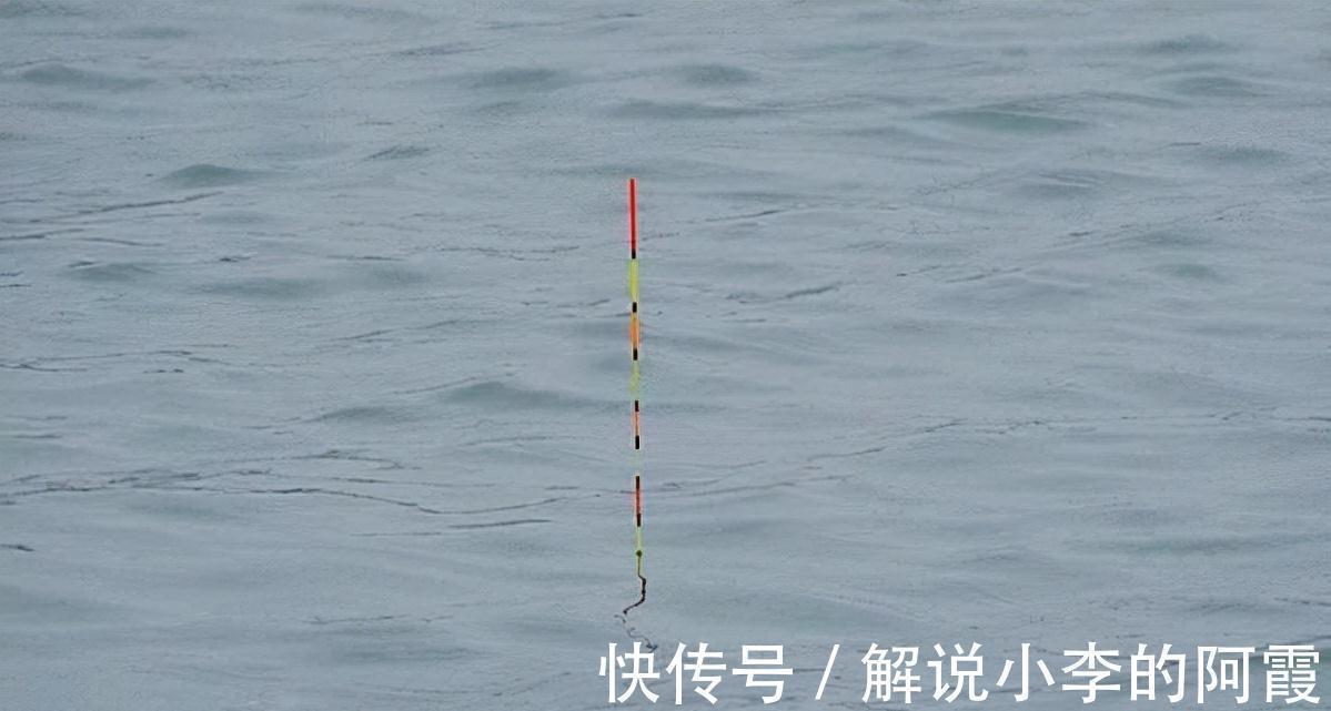 总说灵活调钓,到底怎么做,才叫做灵活调漂