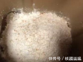 面包|烘焙，蒸面包，巧克力蒸面包的制作方法和技巧，老少皆宜都说好吃