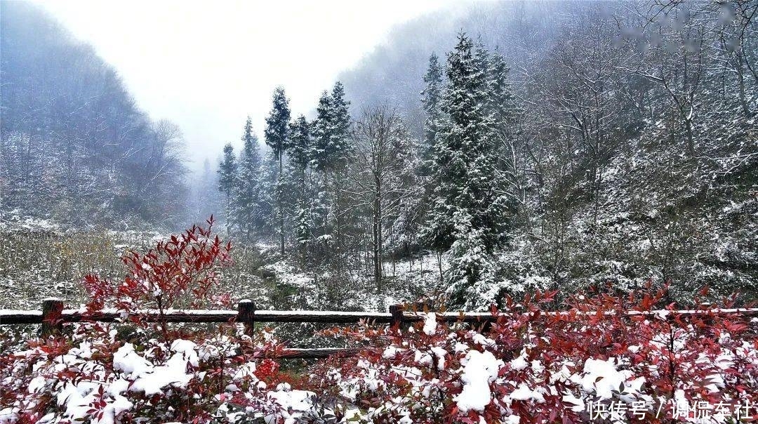 仙境|金沙河畔落初雪，冬雾缭绕如仙境