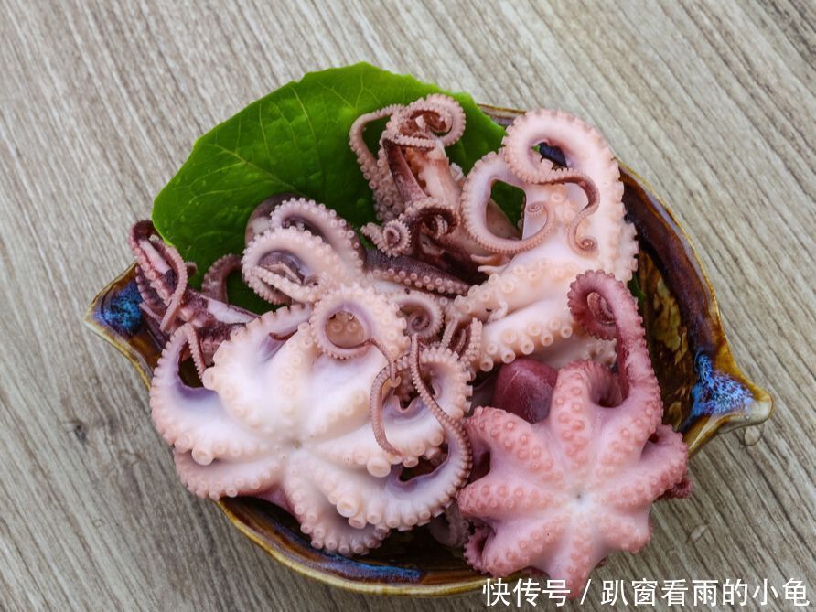 一起来看看章鱼,乌贼,鱿鱼,有啥不一样?食用方法有什么不同?