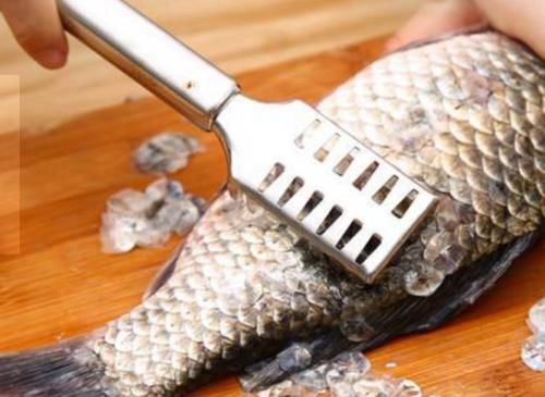 把鱼|吃鱼别只顾吃鱼肉,这4个部位才是“宝”,很多人都不懂,太可惜