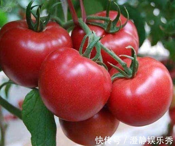 肝病|4种食物是肝脏的“解毒王”，平日多吃些，告别肝病困扰！