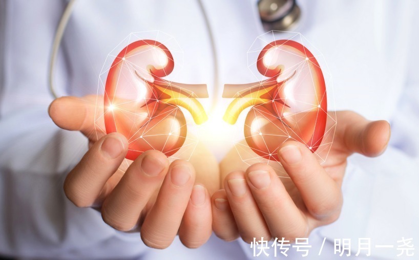 一日三餐|尿毒症都是自己吃出来的！平时少碰3种食物，肾脏会感谢你