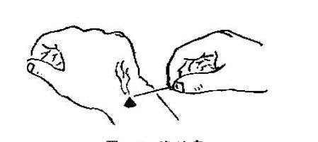 一语道破中医本质,一个家庭的求医自救故事