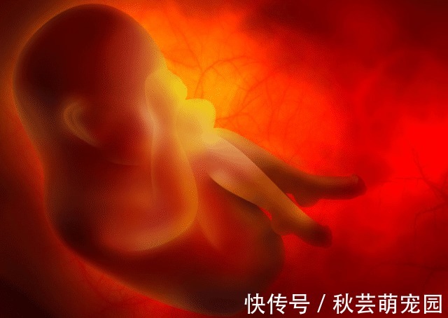 宝宝|胎儿最喜欢在2个时间段睡觉，孕妈你别打扰，暖心