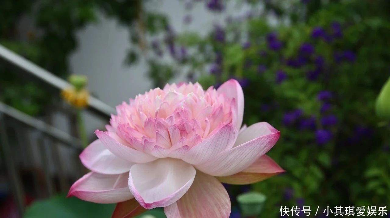 中国历史@记住老祖宗这三句话,家庭兴旺之本,句句值千金