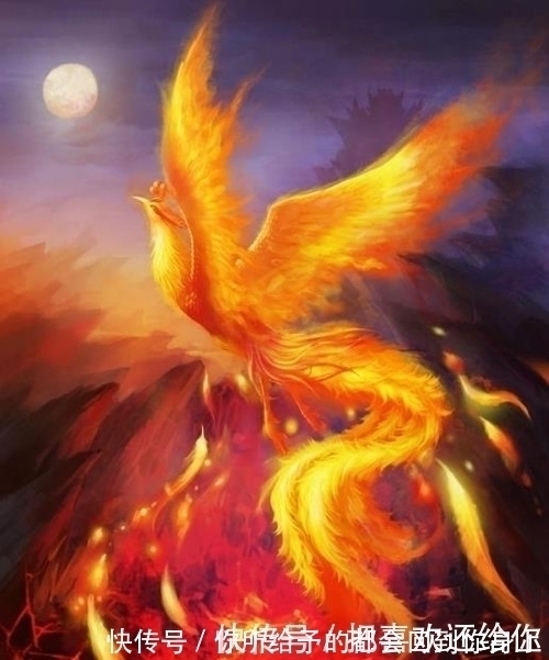 姚姓@你若是这10个姓氏,那你或许不是龙的传人,而是远古凤凰部落后代