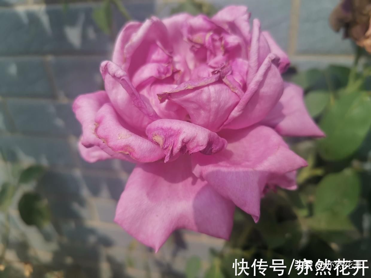 写作#故事写作：学会36种模式，写出精彩故事