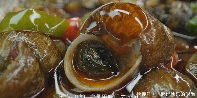 中国宵夜图鉴!(深夜慎点)