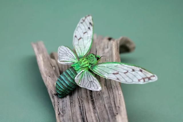 差点吓一跳,用纸做出来的昆虫,比真的还逼真