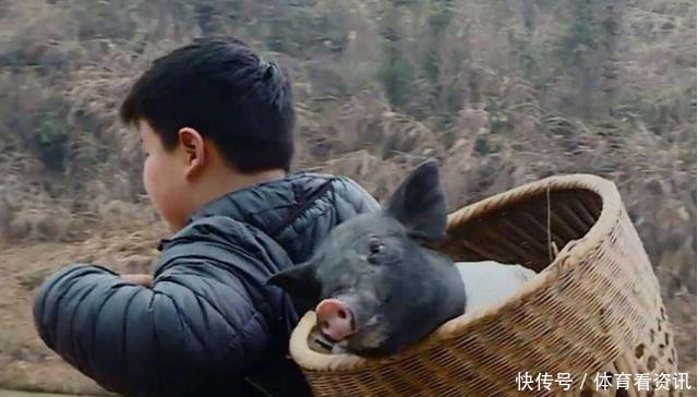 少林寺|杜华对儿子太狠,送完《变形计》又送少林寺,穿山寨成最惨太子爷