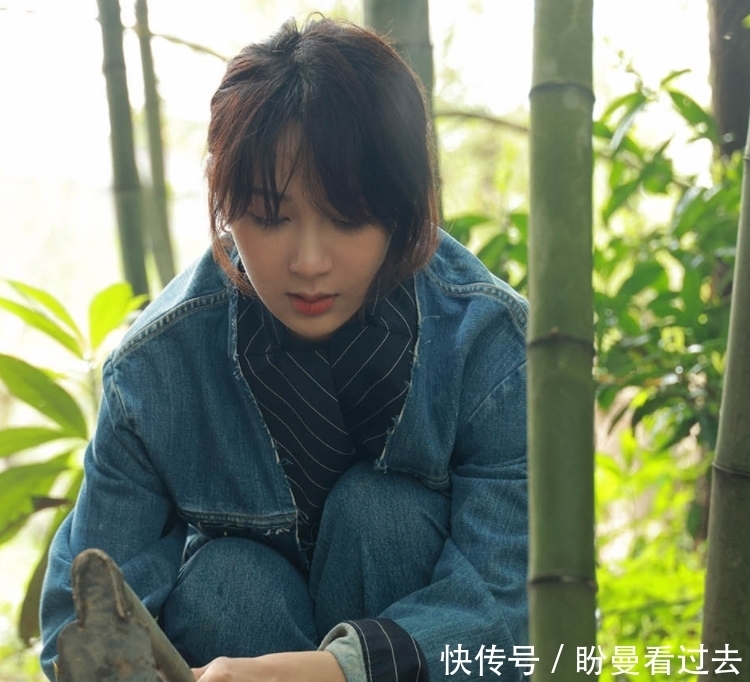 档综艺节目|杨紫刚离开《向往5》录制，新综艺又已经开播，一上线就是爆款