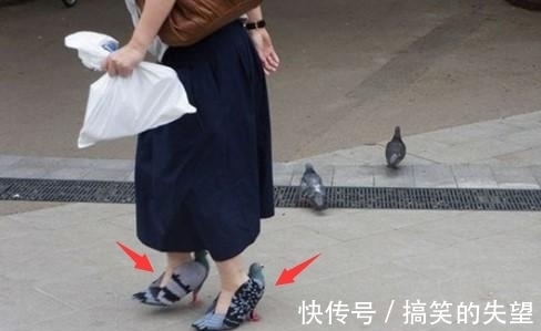 女子|女子踩着一对“鸽子”行走，引发众人热议，原因却让人哭笑不得